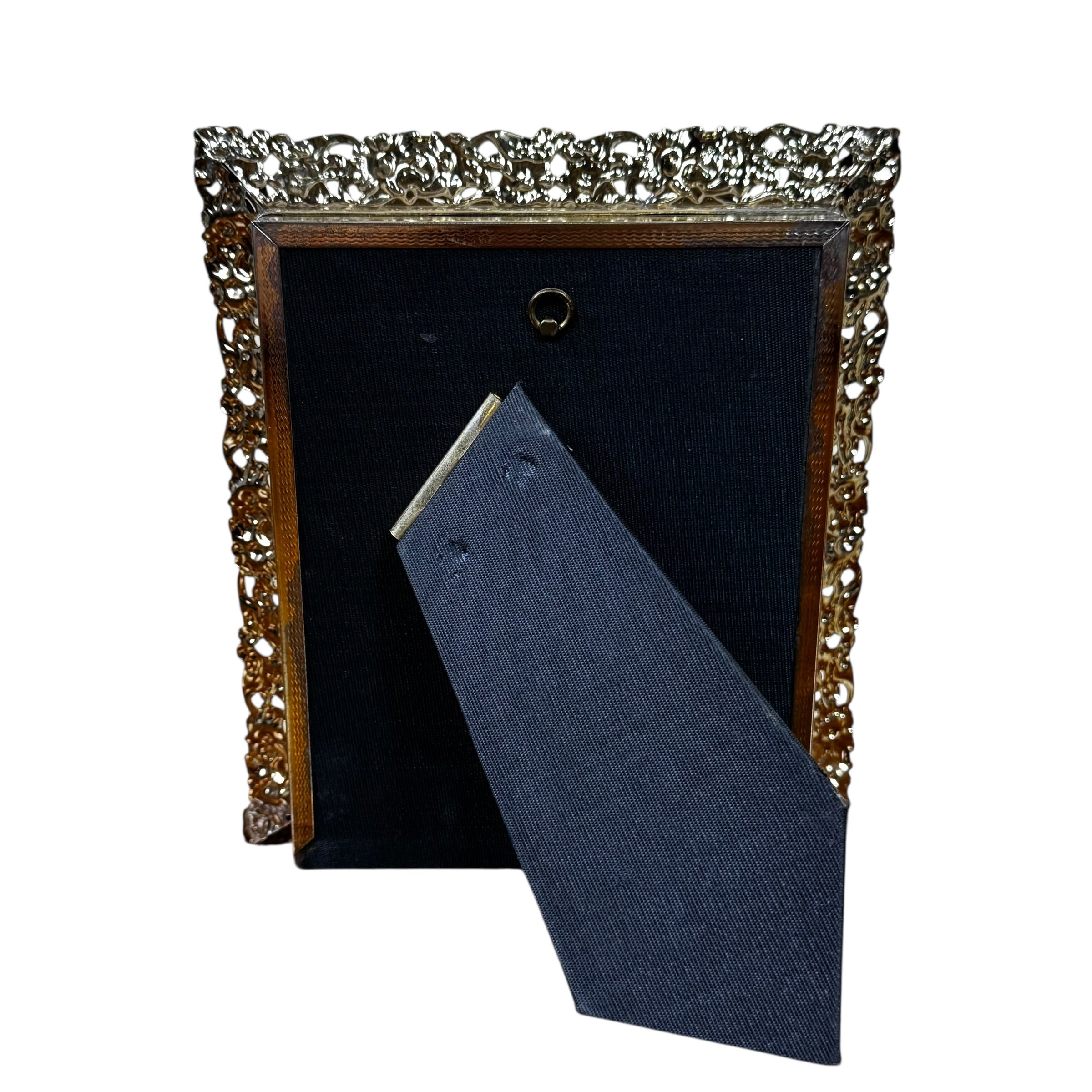 Neoclassical portrait print with elaborate frame